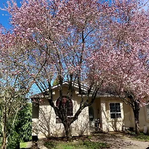 Guest house Red Robe Air Nanaimo